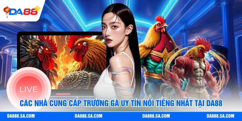 Các nhà cung cấp trường gà uy tín nổi tiếng nhất tại Da88