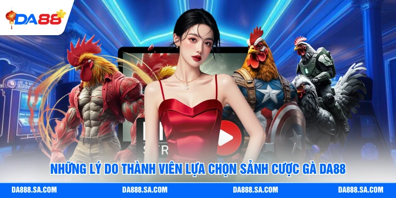 Những lý do thành viên lựa chọn sảnh cược gà Da88
