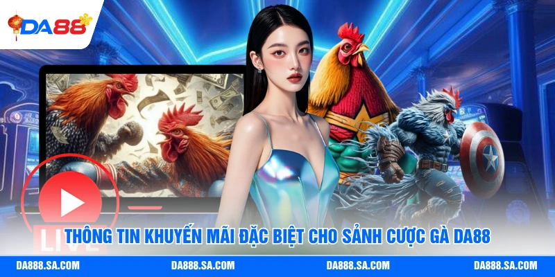Thông tin khuyến mãi đặc biệt cho sảnh cược gà Da88